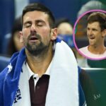 Points de classement ATP et gains en argent de Djokovic après sa défaite à l’Open de Shanghai contre Hubert Hurkacz